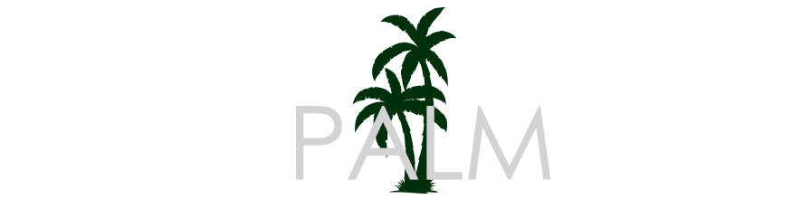 Palm Tree Care Services – Tampa